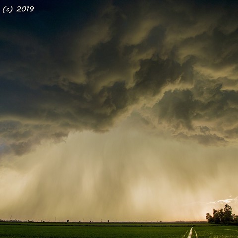 Shelf cloud nel Vercellese 16/06/2019