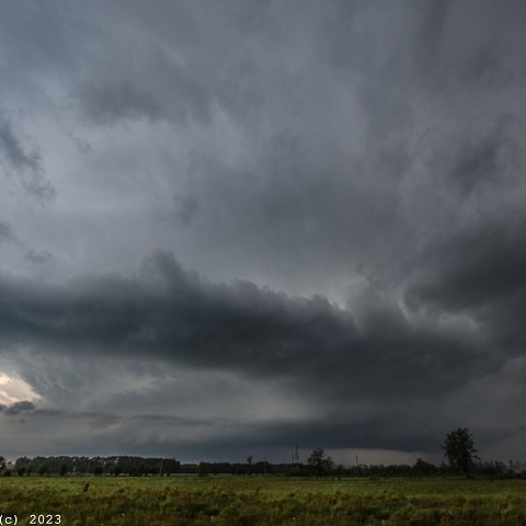 Foto temporali 1