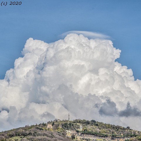 Pileus 30/03/2020